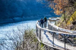 UltralekkakurtkarowerowaRogelliINFINITEbezocieplenia,niebiesko-czarna