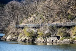 UltralekkakurtkarowerowaRogelliINFINITEbezocieplenia,khaki-czarno-odblaskowożółta